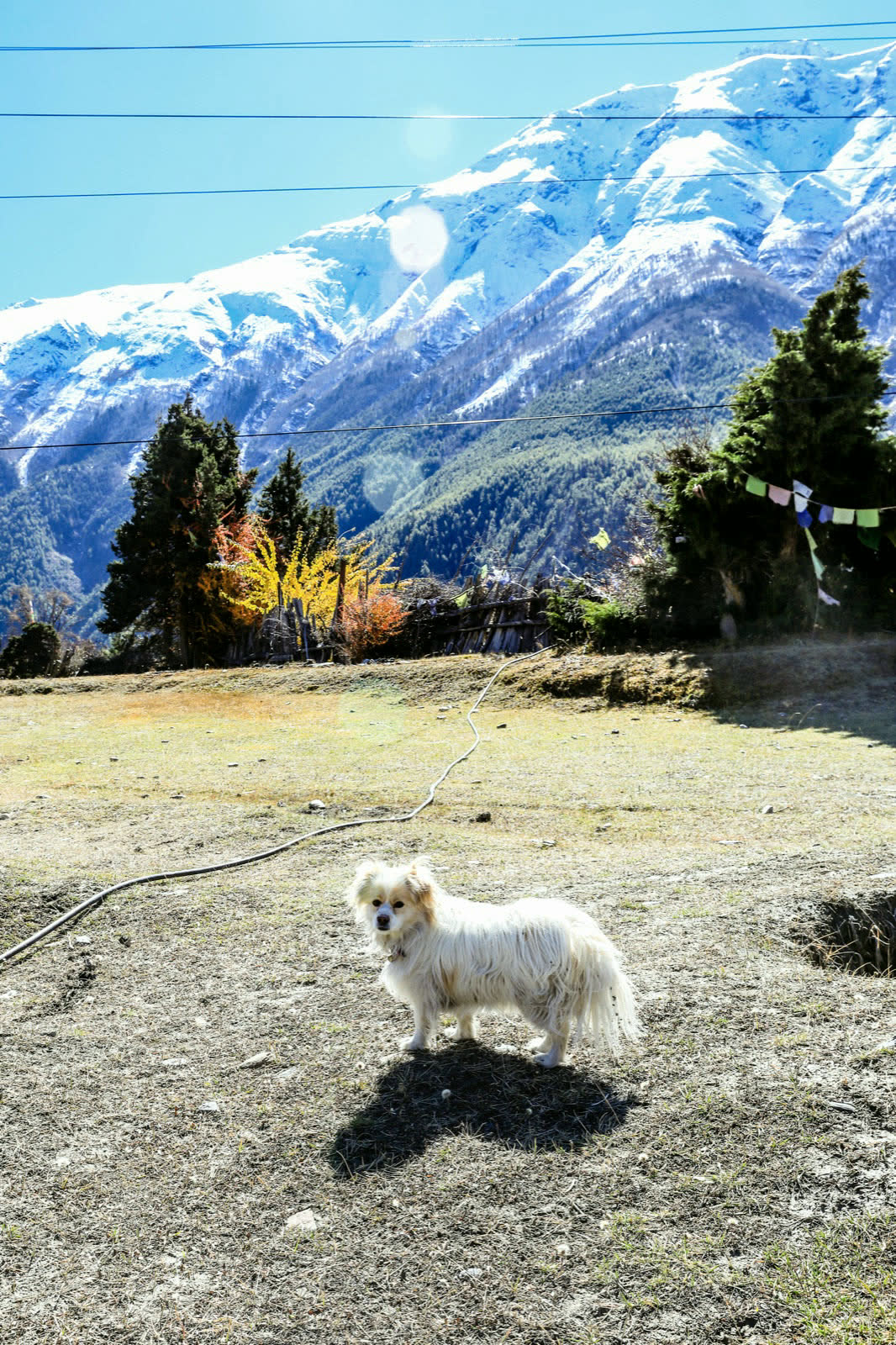 高山稜線與雪峰