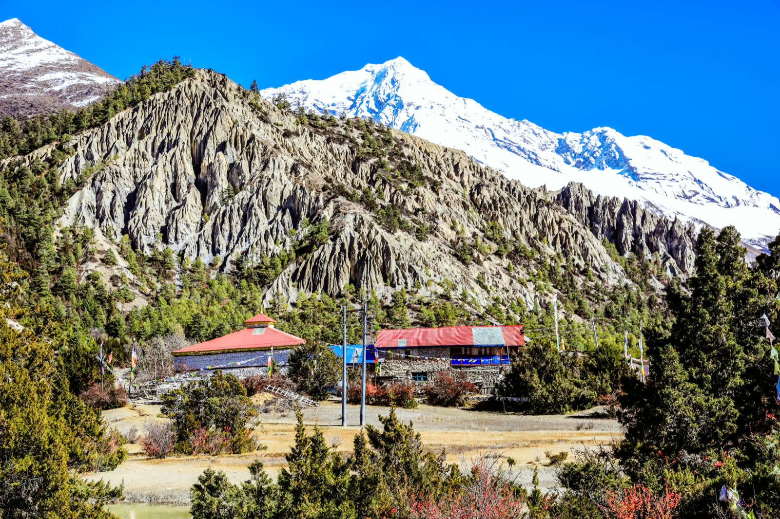 瑪南山谷中的寺院,背後是雪峰